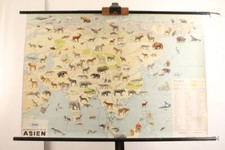 Schulwandkarte asien tierwelt - asien,