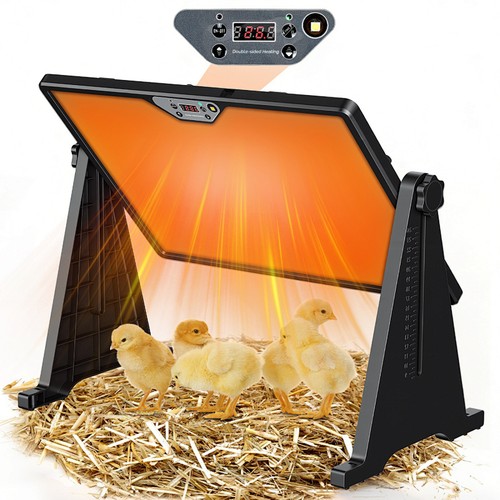 Küken wärmeplatte 300w - küken,