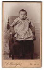 Fotografie D. Wachenfeld