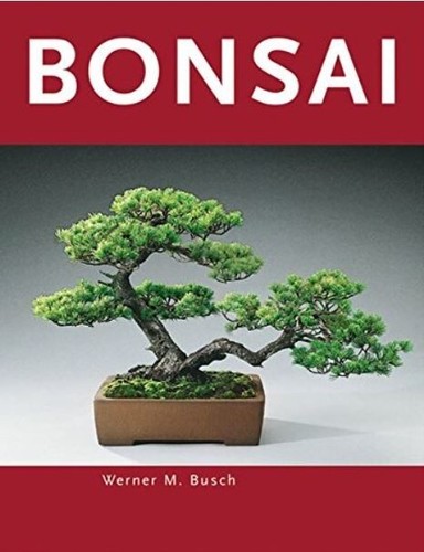 Bonsai werner busch - bonsai,