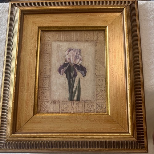 Shelley hely iris goldrahmen - shelley,