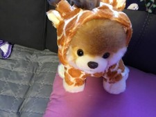 Gund Itty Bitty Boo Pomeranian