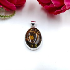 Fossil Ammonite Gemstone