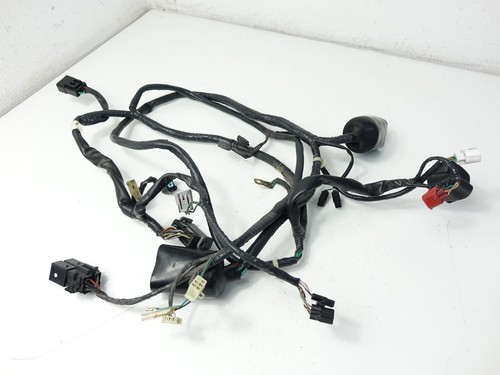 Kabelbaum honda 125 jf14 - kabelbaum,