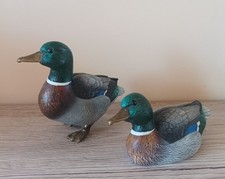 2 Enten Stockenten von