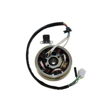 Lichtmaschine Anker komplett 4 Takt für Peugeot Kisbee 50 4T VGA K1AAAA 2011-13