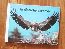 Ein Storchensommer -