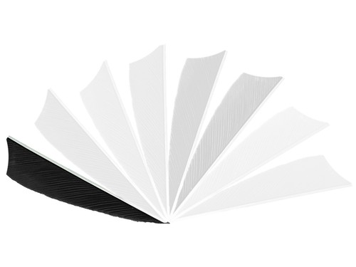 Gateway shield federn - x,