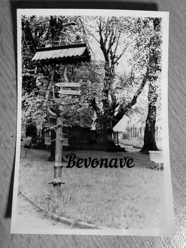 Foto sankt joachimsthal 1972 - foto,