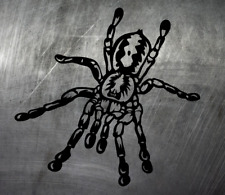 Vogelspinne Tarantula Aufkleber Auto Sticker JDM LKW Reptil Reptilien Bike 