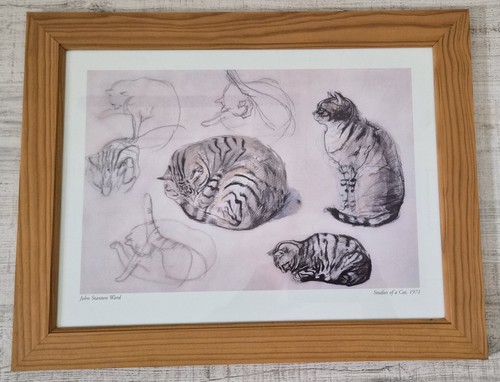 Ikea studies cat - of,
