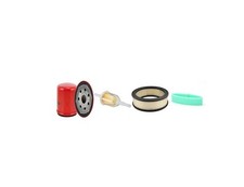 Filter Service Kit Für Eliet Super Prof 2000 W / Briggs-Stratton Motor HP 18 Ch