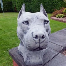 Steinfigur Pitbull Kopf Hund Dogge Dekoration Steinguss grau