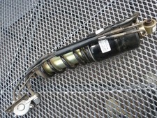 Federbein Federelement