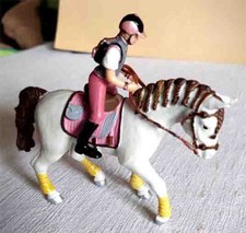 Pferd Schimmel Reiter 2012