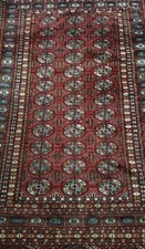 Alter Tekke Bukhara Teppich – Original Turkmenischer Teppich, Handgeknüpft