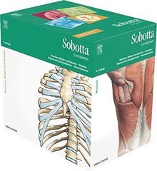 Sobotta lernkartenpaket von - lernkartenpaket,