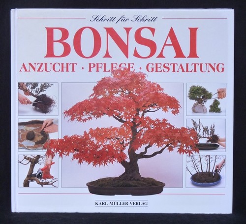 Bonsai schritt für - -,