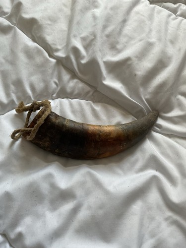 Kuh horn - horn,
