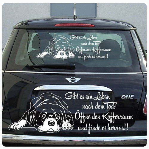 Rottweiler gibt ein - es,