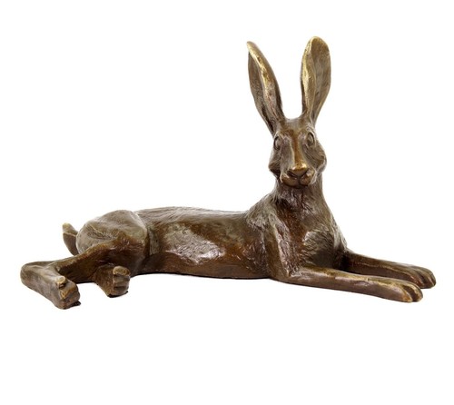 Ruhender feldhase hase - ruhender,