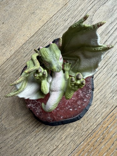 Baby drache nugur - nugur, im