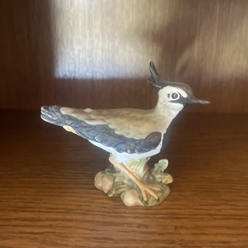 Goebel kiebitz vogel des - vogel,