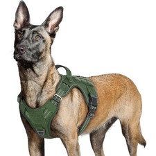 Robustes hundegeschirr für - robustes,