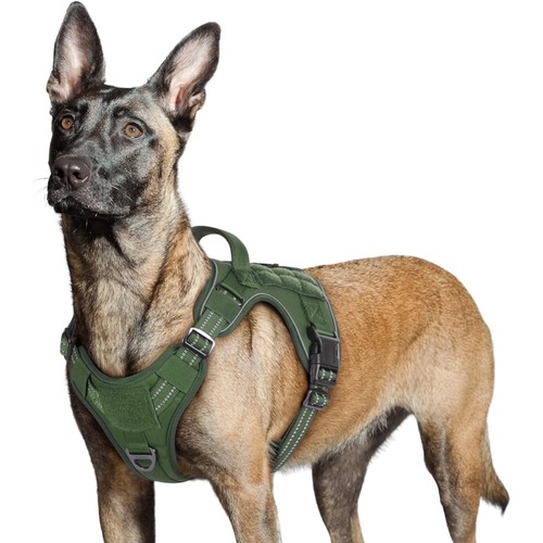 Robustes hundegeschirr für - robustes,