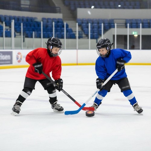 Hockeyspielzeug mit puck - hockeyspielzeug,