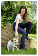 Covalliero Seattle Damen Jodhpur Reithose Jodhpurreithose gestreift Braun Gr. 34