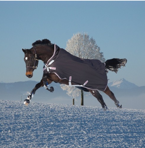 Horseware amigo bravo - amigo,