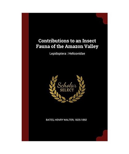 Contributions insect - contributions,