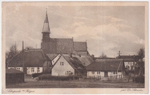 Schaprode auf insel - ,