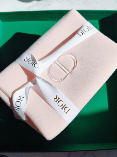 Dior beauty pouch puffer - pouch,