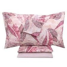 Komplett Zucchi Eden