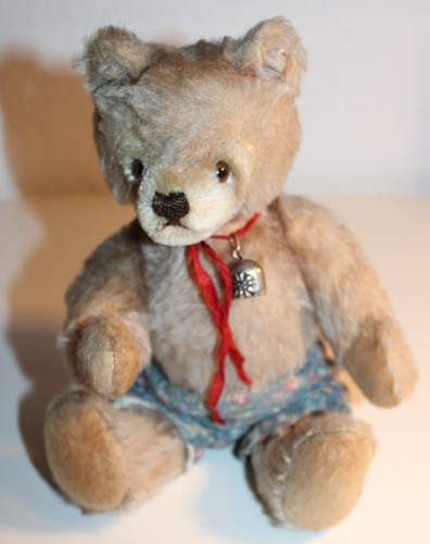 Teddy steiff bär teddybär - teddy,