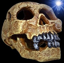 Aquarium Deko ✝ Totenkopf ✝ Totenschädel Terrarium Dekoration Skull Höhle