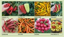 Semo Chilisamen 8 Sorten, Paprika Chili scharf Kirschpaprika Einkochen Einmachen