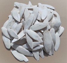 Sepiaschalen Kiloware (9 -