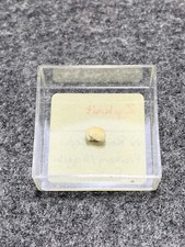 Zykait, Reiche Zeche, Freiberg, Erzgebirge, Sachsen