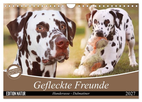 Gefleckte freunde hunderasse - -,