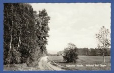 Dübener Heide 1965, Mühltal