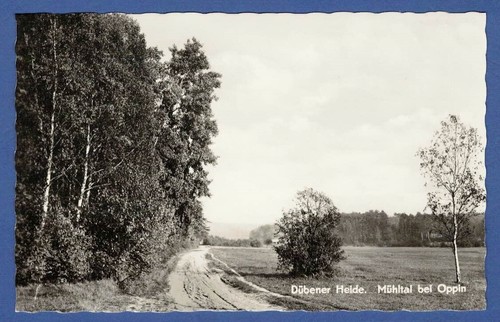 Dübener heide 1965 mühltal - heide,