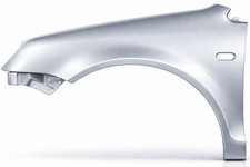 Kotflügel VW Polo 9N IV 4