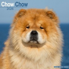 Chow Chow Calendar 2026