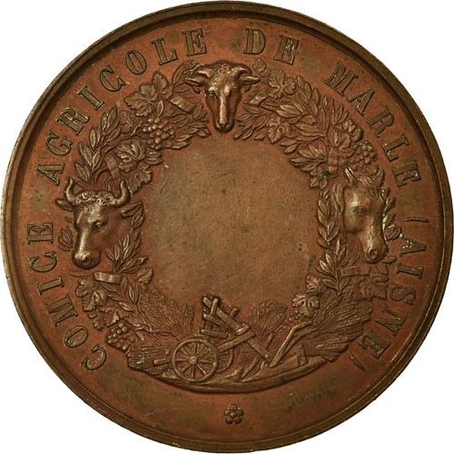 Frankreich medaille comice - frankreich,, medaille,