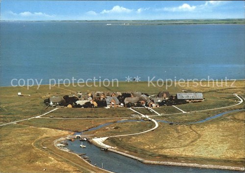 Hallig oland - hallig,