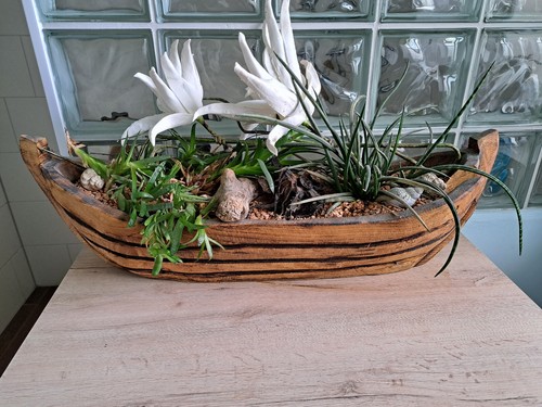 Pflanzboot pflanzkübel - pflanzboot,