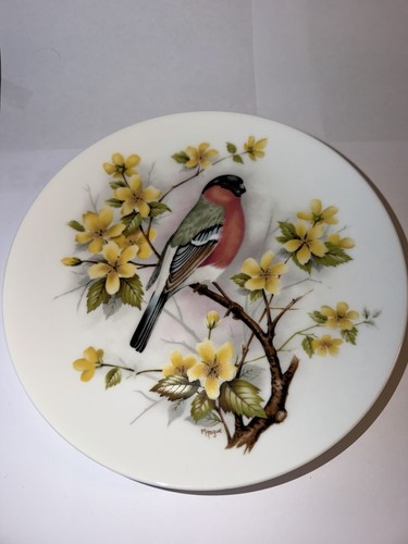 Porzellan vogel figur gimpel - vogel,